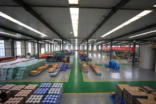 英萊殼智慧工廠 超凡技術全解密與四川技術服務優(yōu)勢