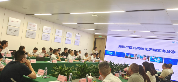 蓉漂咖啡·知產(chǎn)護(hù)航，綠創(chuàng)未來——四川“兩新”組織聯(lián)建活動順利舉辦，引領(lǐng)技術(shù)服務(wù)新篇章